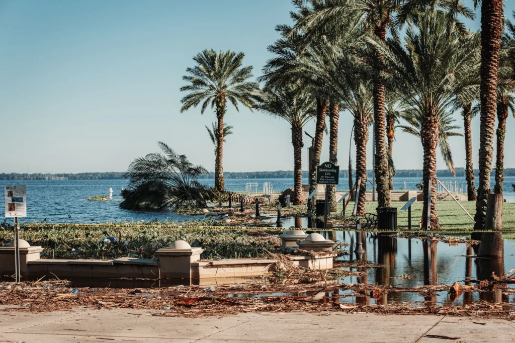 Photo by Connor Scott McManus on Pexels