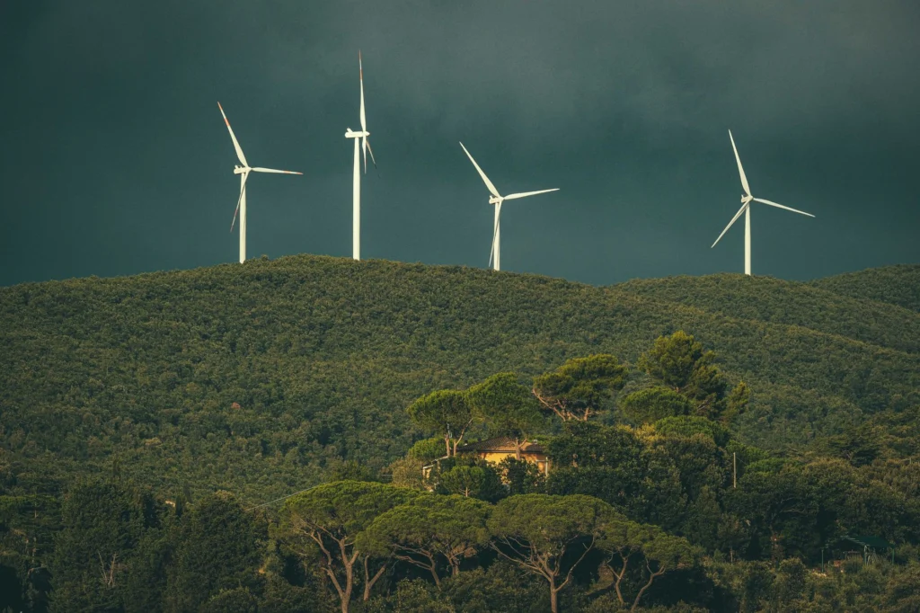 Photo by Francesco Ungaro on Pexels