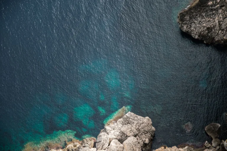 Photo by Brian  de Karma on Pexels
