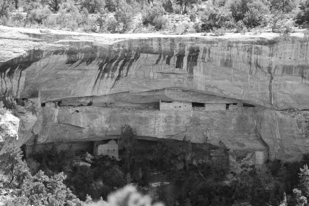Photo by Drew Burks on Pexels
