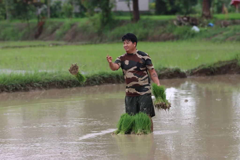 Photo by CP Khanal on Pexels