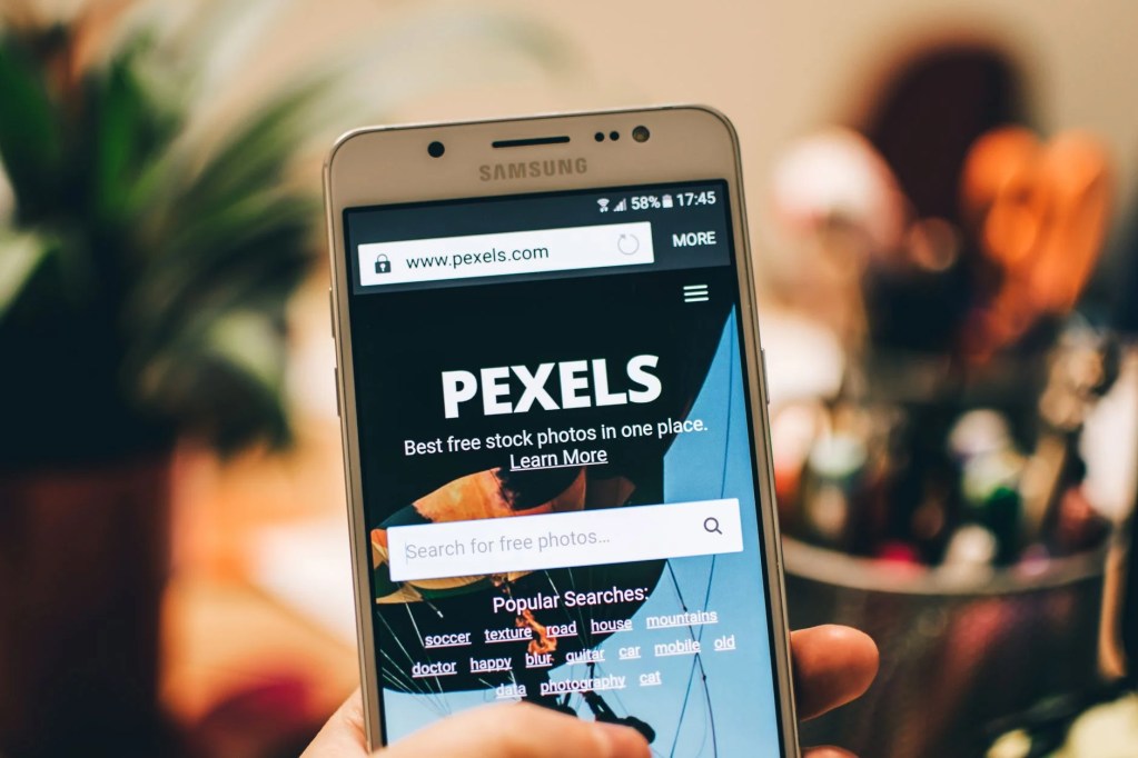 Photo by Lisa Fotios on Pexels