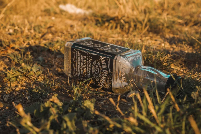 Close-up of an empty whiskey bottle lying on grass, evoking an earthy and gritty mood.