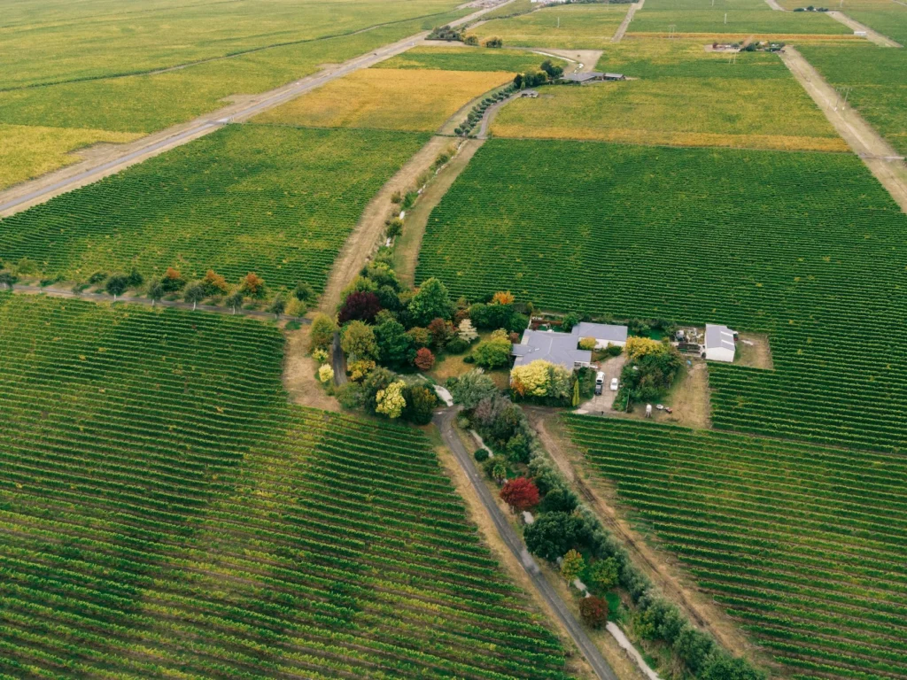 Drone shot of expansive vineyards in fall, showcasing vibrant seasonal colors.