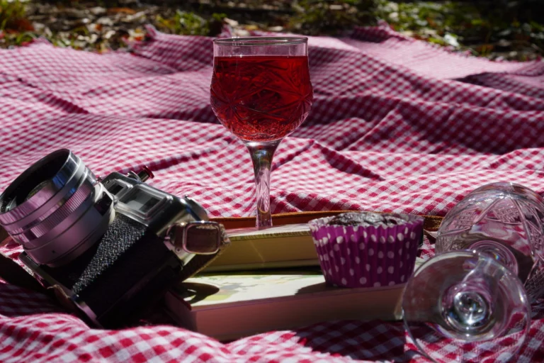 A relaxing outdoor picnic scene with wine, a vintage camera, and a muffin on a checkered blanket.