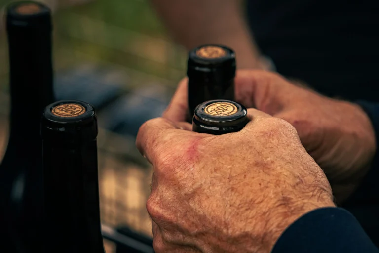 Close-up of hands holding wine bottles, showcasing artisan wine culture in Nouvelle-Aquitaine, France.