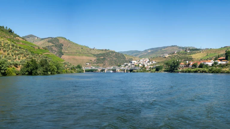 Explore the lush vineyards and serene river in Portugal's Douro Valley, a UNESCO World Heritage site.