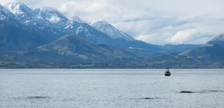 Serene view of a fishing boat on Kaikoura's coast with snow-capped mountains in the backdrop.
