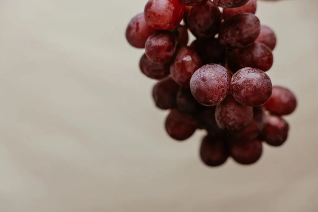 Vibrant red grapes on a vine, showcasing fresh and organic fruit perfect for healthy eating.
